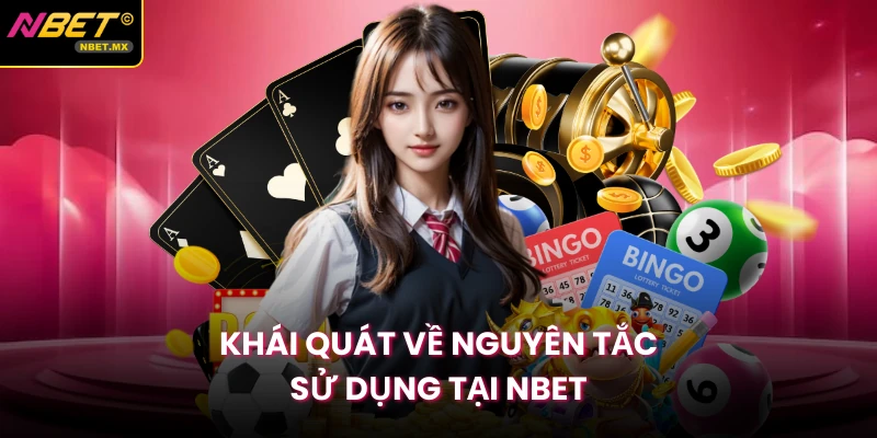 Khái quát về nguyên tắc sử dụng tại Nbet