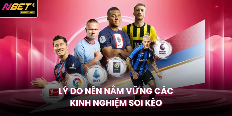 Lý do nên nắm vững các kinh nghiệm soi kèo 